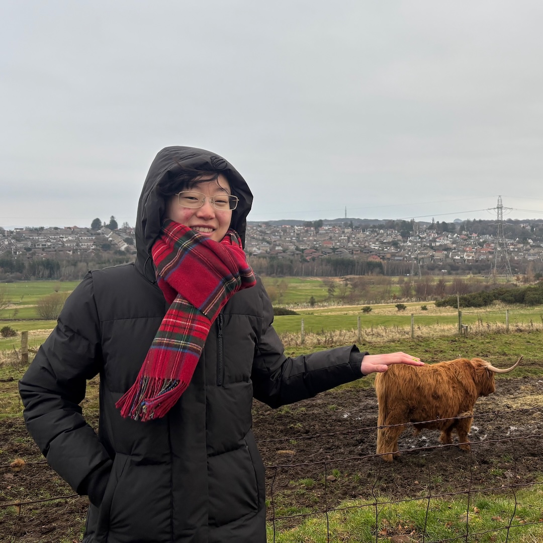 "Petting" highland cows in Scotland during my semester abroad in Europe